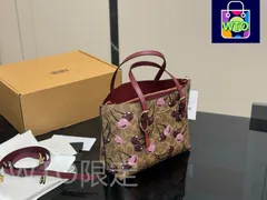 【今日特価】COACH Mollie Tote スモール 25×20cm-WT0輸入-WTO輸入2