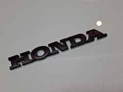 ●HONDA ホンダ ABS製 抜き文字TYPE MAD BLACK マッドブラック仕様 エンブレム 新品！