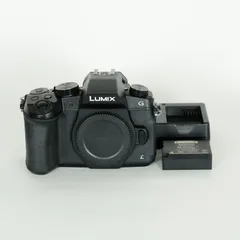 2025年最新】lumix g8の人気アイテム - メルカリ