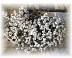 ナンキンハゼの実★30本　クリスマス リース 素材 ドライフラワー　オーダー可能