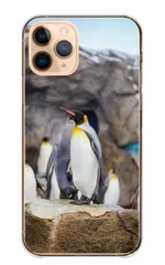 Xperia 5 III SO-53B SOG05 A103SO ケース ハードケース エクスペリア5 III スマホケース ペンギン 王様ペンギン オウサマペンギン コウテイ 動物 アニマル 写真 可愛い かわいい ブルー カラー05