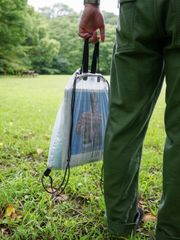 DCF Knapsack for YAMAN