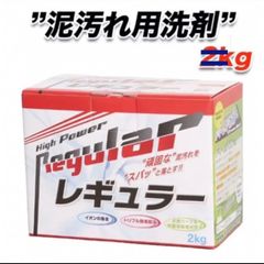 レギュラー　洗濯用洗剤　９００グラム