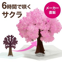 マジック桜ミニ