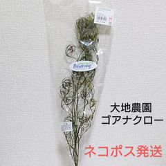大地農園 ゴアナクロー グリーン新品1袋
