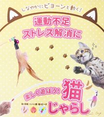 🐾【楽しく遊ぼう！猫じゃらし】✨ 羽根＆鈴＆ビーズ付き｜運動不足＆ストレス解消に最適！🐱🎵
