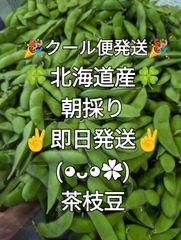 枝豆✨️クール便発送✨️北海道産✨️茶枝豆