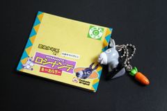 ICOKA イコカ 限定品 コレクション JR 西日本 滋賀県 甲賀市 IC