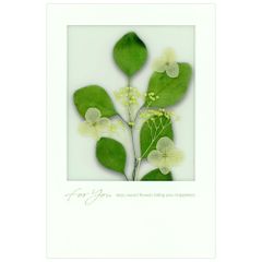 Item thumbnail for item e4ba9390-61fc-4b99-9aa0-96d69f7077f0