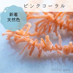 【約15cm】ピンクサンゴ（コーラル） さざれ 高品質 ガーネ ボケ 深海【天然色】