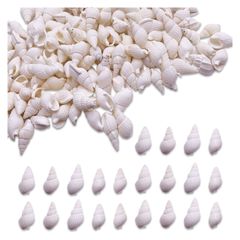 シェルパーツ 貝殻 17ー24ｍｍ ホワイト 大きめ 200個 巻貝 海 マリン レジン 封入 ハンドメイド アクセサリー パーツ BD4143