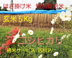 令和4年長野県産 いのちの壱 特別栽培米 はざ掛け米 玄米20Kg - 田中