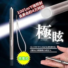 新品未使用 ペンライト led 懐中電灯 USB充電式 ハンディライト  USBケーブル付属 小型 災害 緊急 ツール キャンプ アウトドア 釣り ペンライト キャンプ 防災 夜間散歩 緊急イベント適用  kkk