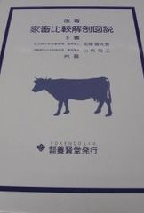 眼腫瘍アトラス (最新医学シリーズ) 箕田健生 眼腫瘍アトラス (最新医学シリーズ) 箕田健生 - メルカリ