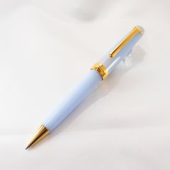 希少モデル プラチナ万年筆＃3776 センチュリー ニース リラ M