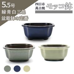 【未使用】盆栽鉢 5.5号 木瓜鉢 モッコ鉢 青色 海鼠釉 四日市萬古焼 陶器 深め 小品 小さい 雑木 松柏 約16.5センチ 植木鉢 苔 うめきち盆栽用品店