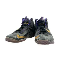 希少美品NIKE レブロン12 独立記念モデル ハイカットバスケットシューズ 2025年最新】ナイキ レブロン 12の人気アイテム - メルカリ