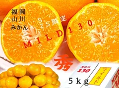 福岡産 山川マイルド130 ブランドみかん Sサイズ 5kg お歳暮 専用箱付  濃厚 早生蜜柑 甘い クリスマスプレゼント お正月