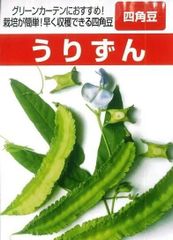 ＜野菜の種＞シカクマメ　２０粒　うりずん　四角豆　沖縄野菜