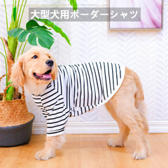 【ペット用】大型犬用ペット服シンプルなボーダーシャツ