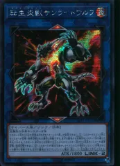 2025年最新】サンライトウルフ アジアの人気アイテム - メルカリ