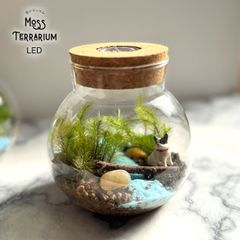 苔テラリウムキット LEDライト フレンチブルドッグフィギュア付き 10cm テラリウム コケリウム ボトルテラリウム