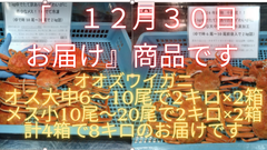 【12月30日お届け】オス大中6尾から10尾前後入2キロ2箱で4キロとメス小10尾から20尾前後入2キロ2箱 計4箱8キロ