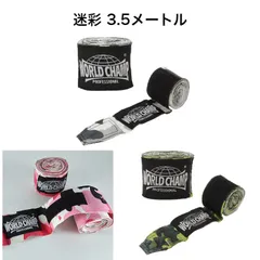 選手支給品 イスラエルスタートアップネーション アイルランドチャンプ