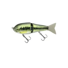 ギルトップ GILL TOP | BASS | NORIES