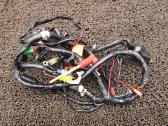 2026年最新】メインハーネス ズーマーの人気アイテム - メルカリ