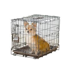 Item thumbnail for item 15e25018-5af9-4061-98d0-51b0b2e27f8f