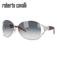【美品】ロベルトカヴァリ　サングラス　ブラック系 ロベルトカヴァリのサングラス（Roberto Cavalli）