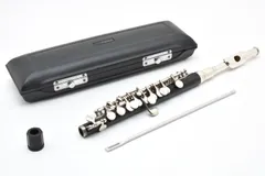 ピッコロ本体　新品・未使用 2025年最新】Yahoo!オークション - 本体(ピッコロ 管楽器)の中古