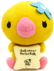 希少レア　ヌマクロー　スーパーDXぬいぐるみ　美品 2025年最新】スーパーdx ぬいぐるみの人気アイテム - メルカリ