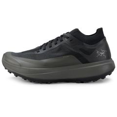 【在庫処分！】【 即納 】 アークテリクス シラン メンズ ( Black / Shark )  | ARC'TERYX Sylan サイズ UK9