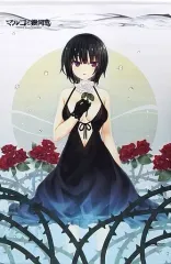 中古】タペストリー 黒崎鷹緒 描き下ろしB2タペストリー 「PCソフト 