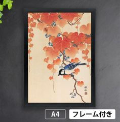 Hélio NOMURA 浮世絵　現代アート 小原古邨「桐に四十雀」（1925-1936年） 野鳥 シジュウカラ