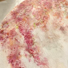 枝垂れ桜のサムネイル