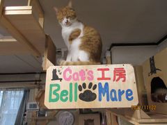 Cat's工房　キャットステップ三日月型小 2個口セット Amazon.co.jp: MYZOO LUNA キャットステップ パイン材 キャット