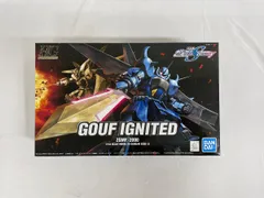 未組立　ガンプラ　グフ イグナイテッド HG グフ イグナイテッド(量産機)│株式会社BANDAI SPIRITS