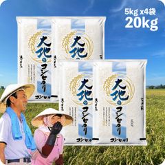 米 大地のコシヒカリ20kg  お米 生活応援価格 白米