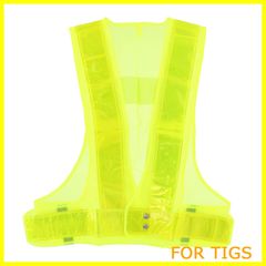 Item thumbnail for item a8b6e510-2e80-486e-a736-53b437e08d9b