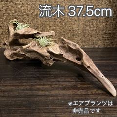 流木ツリー② ハンドメイド作品 クリスマスツリー 組立式 - インテリア