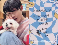 【中古】コレクションカード(男性) THE BOYZ/KEVIN(ケビン)/裏面印刷メッセージ入り/オフィシャルファンクラブ「THE B JAPAN」会員継続特典3rd Anniversary kit オリジナルトレカ