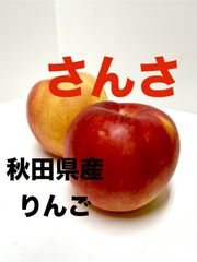 秋田県産　りんご　さんさ　５キロ16玉