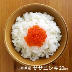 ササニシキ 20kg (無洗米・白米・玄米) 山形県産 令和4年 20キロ