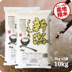 米 新潟県産コシヒカリ10kg  お米 10キロ 令和6年産 白米 送料無料（沖縄のぞく）