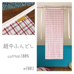 透明感覚インナー　ふんどし NO.ef003