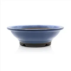 2025年最新】盆栽鉢 大型の人気アイテム - メルカリ