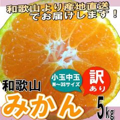 小玉みかん 和歌山県産 訳ありミカン 小玉 中玉（Mサイズ～3Sサイズ）5kg  ※発送開始予定日:10月中旬頃
